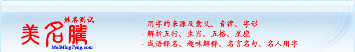 用字的來源及意義、音律、字形；五行、生肖、五格、星座；成語釋名、趣味解釋、名言名句、名人用字