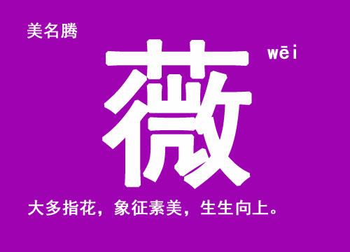 女孩用“薇”字起名好聽的名字大全